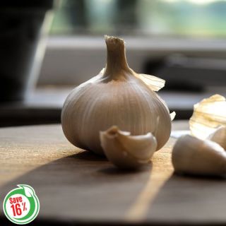 Organic Fall Garlic Collection Thumbnail